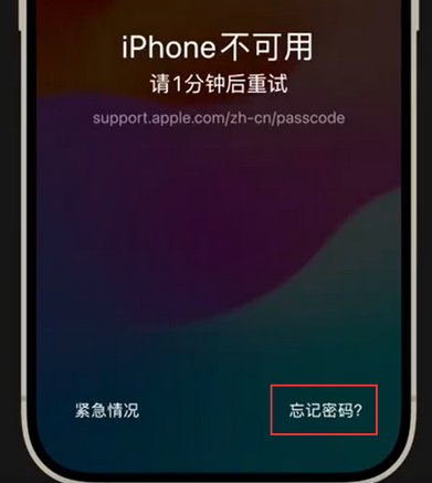 尼玛苹果手机密码维修分享iPhone忘记了刚设置的密码 